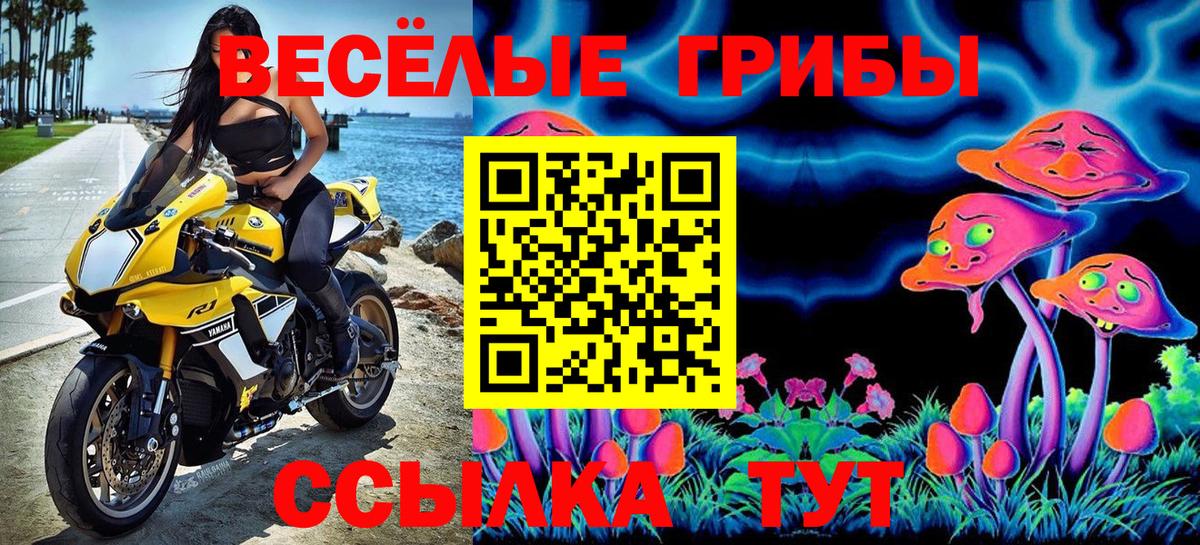 Псилоцибиновые грибы Psilocybe Нефтекамск