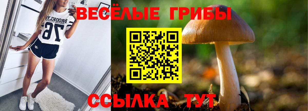 Псилоцибиновые грибы MAGIC MUSHROOMS  Вход с VPN  Нефтекамск  Псилоцибиновые грибы мухоморы 